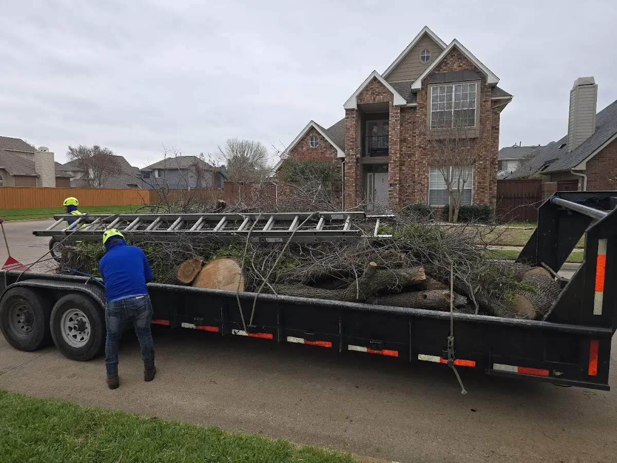 Expert Tree Removal with proper safety equipment in Kaneville